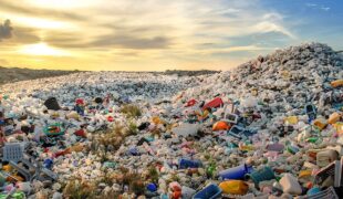 Plastiques, encore trop peu recyclés, selon l’OCDE et bientôt l’ONU !