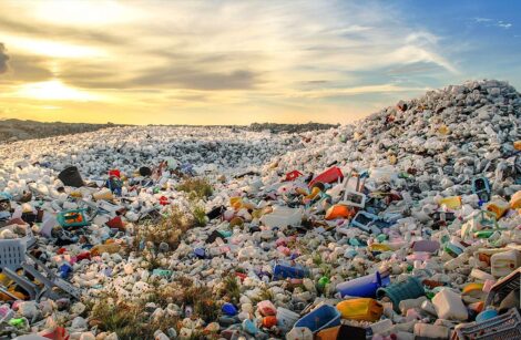 Plastiques, encore trop peu recyclés, selon l’OCDE et bientôt l’ONU !