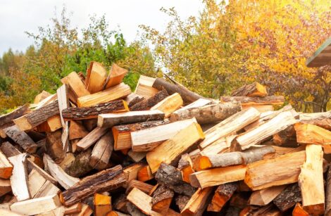 Énergies renouvelables en France, le bois prime !