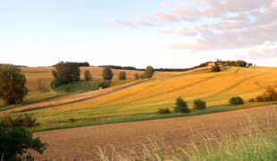 Pas moins de 90 M€ pour la mobilité dans les territoires ruraux !