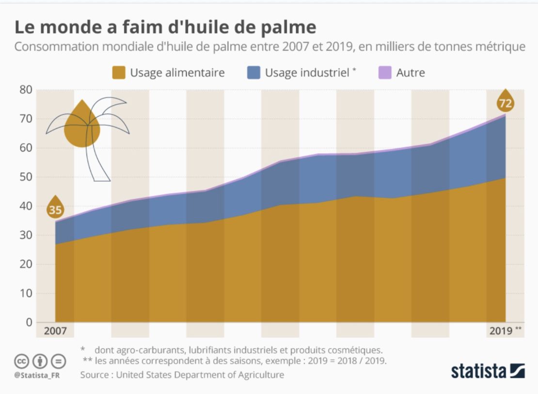 Huile de palme et déforestation, cela continue !