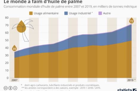 Huile de palme et déforestation, cela continue !