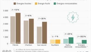 Une croissance “ verte ” est-elle encore possible ?